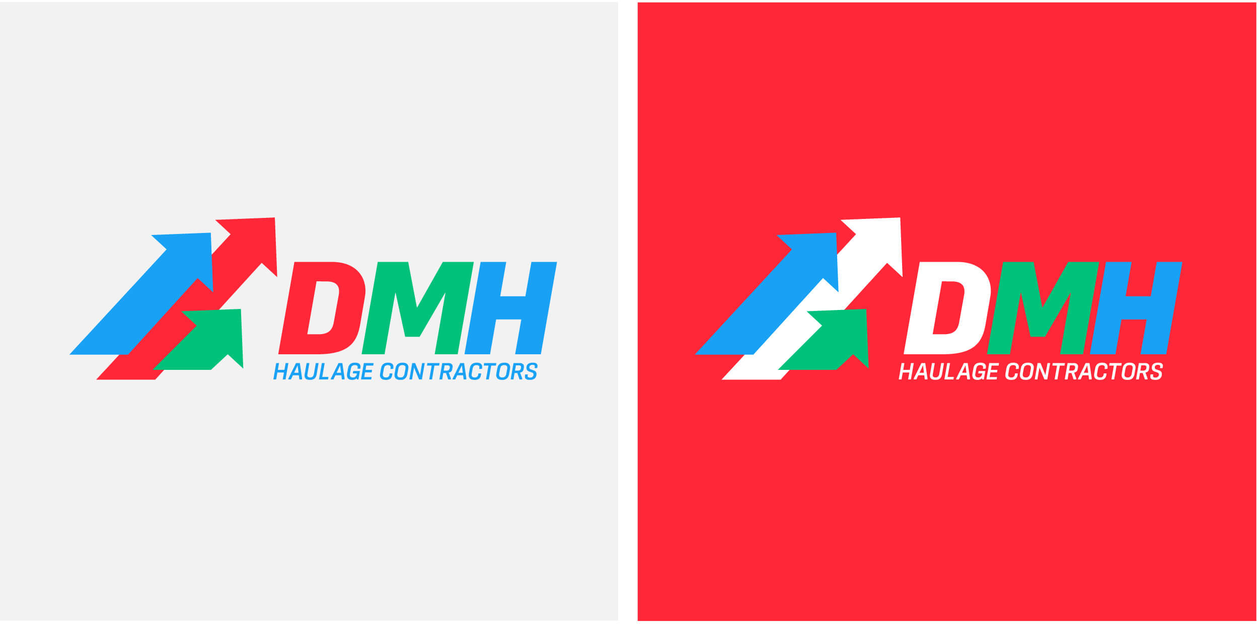 Final DMH Logo Design